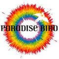 paradisebird120.jpg